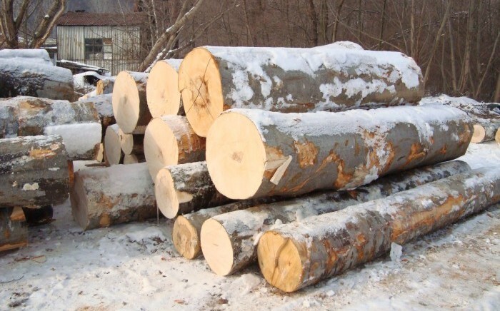 گران ترین چوب برای مبلمان